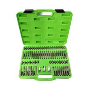 75pc Bit Set with Adapters DS1211