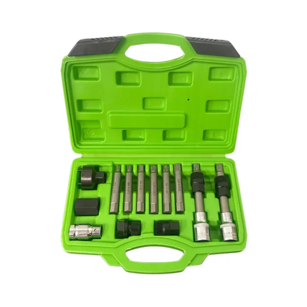 13PC ALTERNATOR TOOL SET DS1629