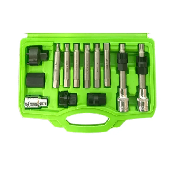 13PC ALTERNATOR TOOL SET DS1629 - Image 4